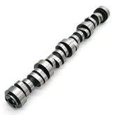 Texas Speed TSP LS 6.0 NSR Chopacabra Camshaft TSP-NSR-Chopacabra-6.0