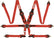 Red - 3 in. to 2 in. HANS/FHR Shoulders FIA 8853-2016 855015RQP