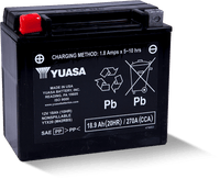 Yuasa YTX20 Maintenance Free AGM 12-Volt Battery