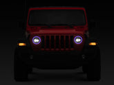 Photo - Close Up