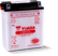 Yuasa YB12AL-A2 Yumicron 12-Volt Battery