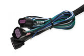 MSD Coil Current Booster Ford Modular Coil-On-Plug 2-Step Rev Limiter MSD Ignition