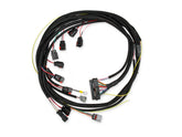 6-Hemi Harness 2003-2005 Harness For 6-Hemi Ignition Controller Early Model MSD Ignition