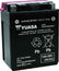 Yuasa YTX14AH-BS High Performance AGM 12-Volt Battery w/Bottle