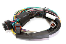 Load image into Gallery viewer, Haltech Elite 2500 + Basic Universal Wire-in Harness Kit Length: 2.5m (8&#39;) HT-151302