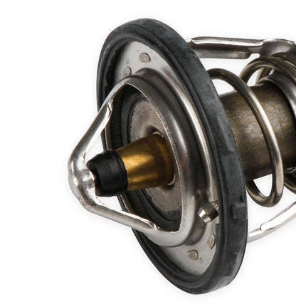 Replacement Thermostat and Housing Mid-Mount Accessory Drive System Holley