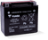 Yuasa YTX20-BS Maintenance Free AGM 12-Volt Battery w/Bottle