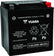 Yuasa YIX30L Maintenance Free AGM 12-Volt Battery