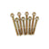 AED5250.jpg