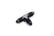 Aeroquip #3 Flare End Union Tee Black FCM5060