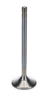 AFR7268-1.jpg