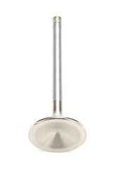 AFR7553-1.jpg