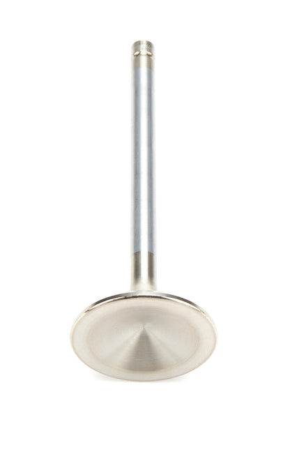 AFR7553-1.jpg