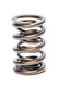 Air FLow Research 1.270 Valve Spring Hydraulic Roller Cam 8019-1