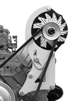 ALG228L.jpg