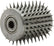 ALL10551.jpg