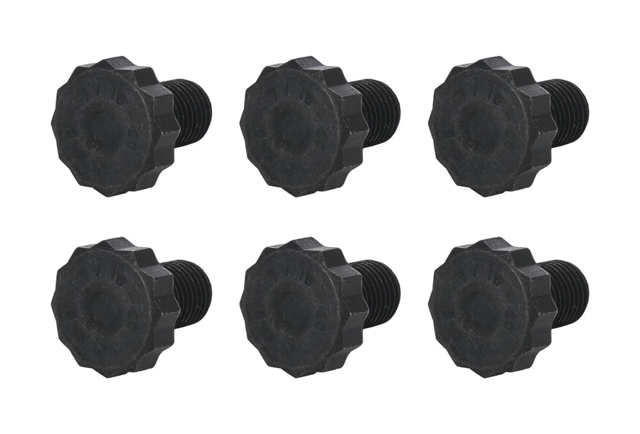 ALL16170.jpg