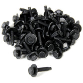 ALL16553-50.jpg