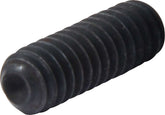 Allstar Performance Set Screw 1/4-20 x 3/4in 10pk ALL16907