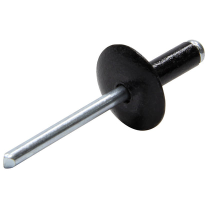 Allstar Performance Large Head Rivet — Black, 5/8in Head, 250-Pack | ALL18013