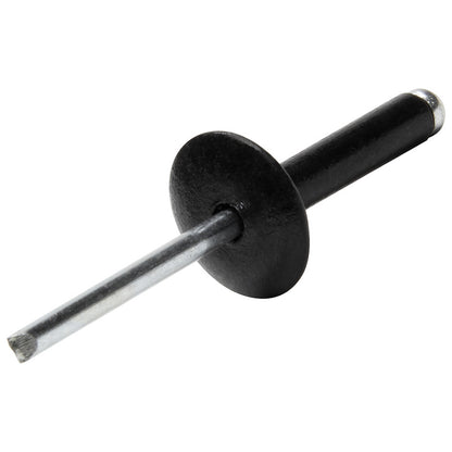 Allstar Performance Large Head Rivet — Black, 5/8in Head, 200-Pack | ALL18033