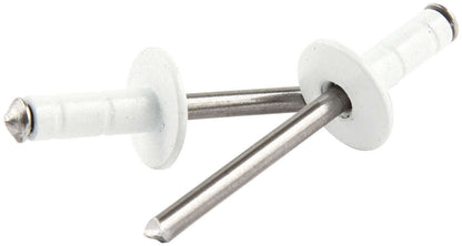 Allstar Performance Medium Head Rivet White 250pk Multi-Grip — 1/16in-3/8in Grip | ALL18092