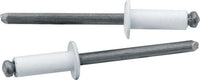 Allstar Performance Sm Hd Rivet White 250pk ALL18114