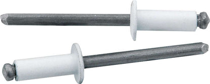Allstar Performance Small Head Rivet White 250pk — 1/4in-3/8in Grip | ALL18114
