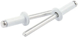 Allstar Performance Sm Hd Rivet White Alum 250pk ALL18116