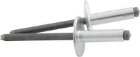 Allstar Performance Lg Hd Rivet Silver 250pk ALL18147