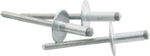 Allstar Performance Lg Hd Rivet 250Pk Silver ALL18151