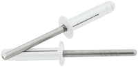Allstar Performance Medium Head Flange-Type Rivet — Silver, Steel Mandrel, 250-Pack | ALL18185