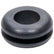 Allstar Performance 1/4in Grommet 10pk ALL18363