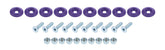 Allstar Performance Countersunk Bolt Kit Purple 10pk ALL18687