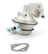 ALL40266.jpg