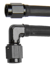 ALL48416.jpg