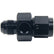 ALL49762.jpg