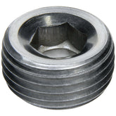 Allstar Performance Allen Plugs NPT 3/8in Steel 2pk ALL49813