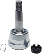 ALL56028.jpg