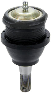 ALL56214-10.jpg