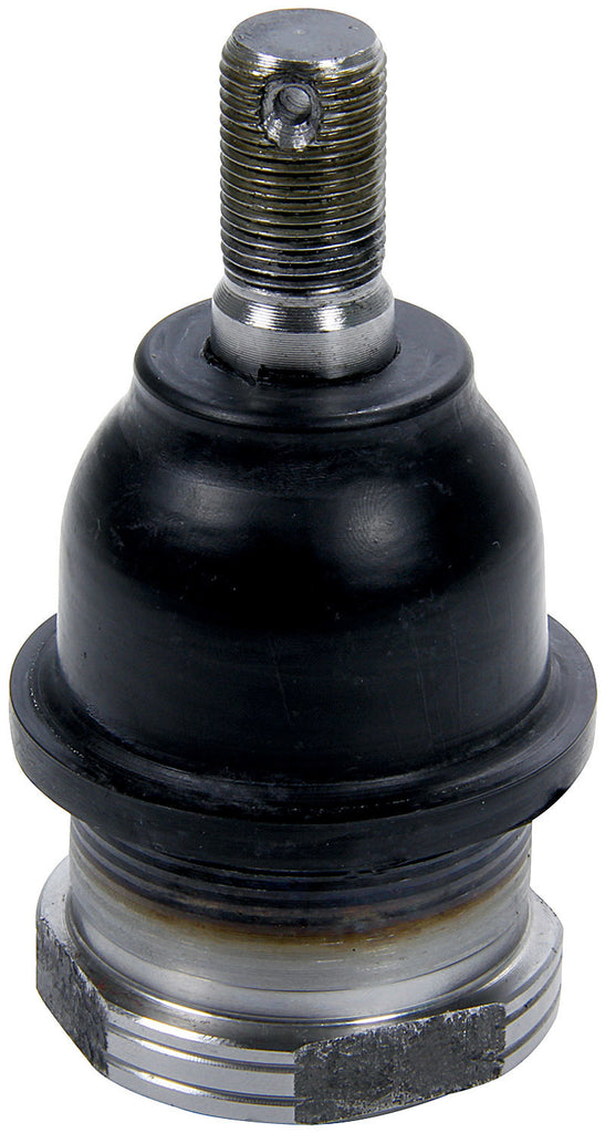 Allstar Performance Ball Joint Lower Scrw-In 10pk ALL56216-10