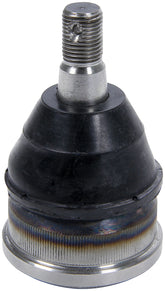 ALL56218-10.jpg