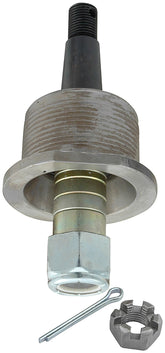 ALL56270.jpg