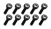 Allstar Performance Pro Rod End RH Moly PTFE Lined 3/4 10pk ALL58082-10