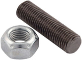 ALL64304.jpg