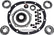 Allstar Performance Bearing Kit Ford 9 2.893 Bearing ALL68511