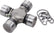 ALL69034.jpg