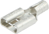 ALL76018.jpg