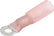 Allstar Performance Ring Terminal #6 Hole Heat Shrink 22-18 10pk ALL76061