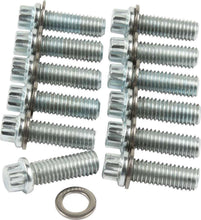 Load image into Gallery viewer, Allstar Performance Intake Bolt Kit SBC 12PT 12pk ALL87010